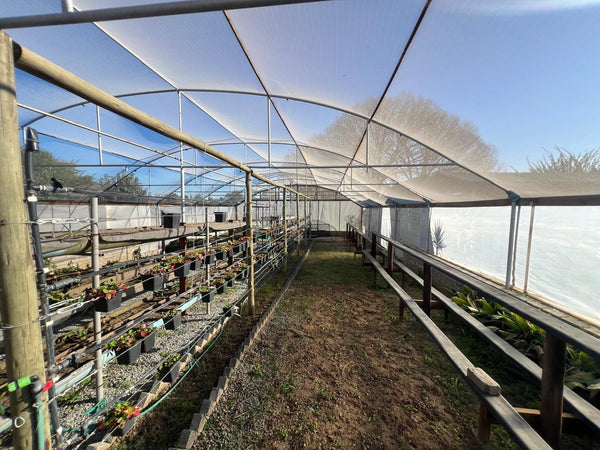 Property 2498607 - Image 159