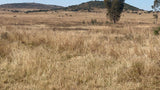 Property 2507750 - Image 12