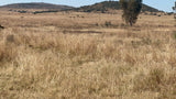 Property 2507750 - Image 13