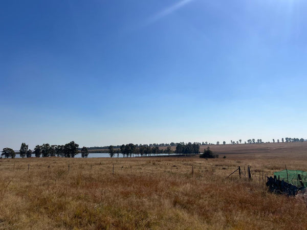 Property 2507750 - Image 2