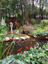 Property 2531867 - Image 12