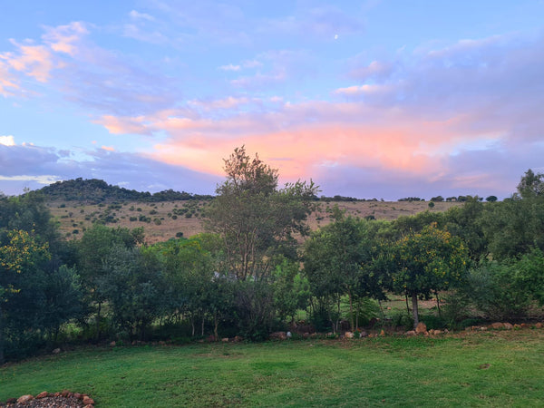 Property 2531867 - Image 19