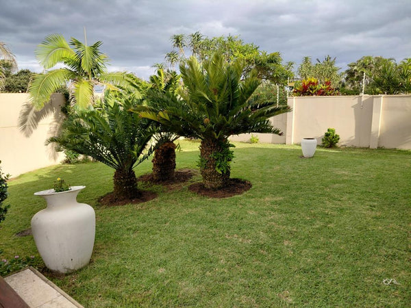 Property 2566864 - Image 32