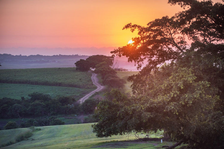 Property 2577887 - Image 4