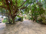 Property 2590115 - Image 18