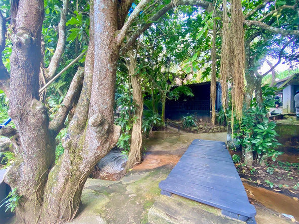 Property 2590115 - Image 7