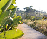 Property 2595547 - Image 18