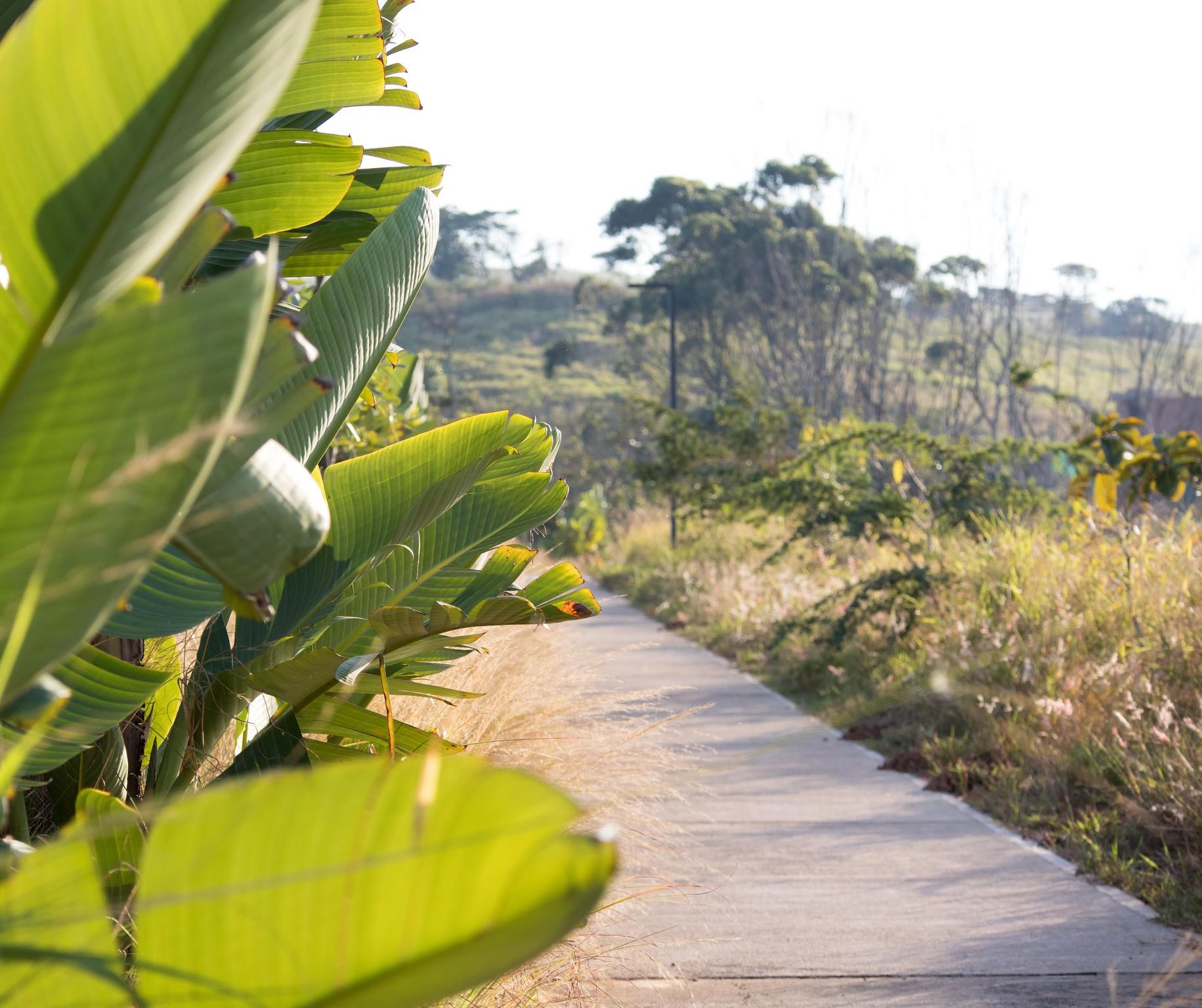 Property 2595547 - Image 18