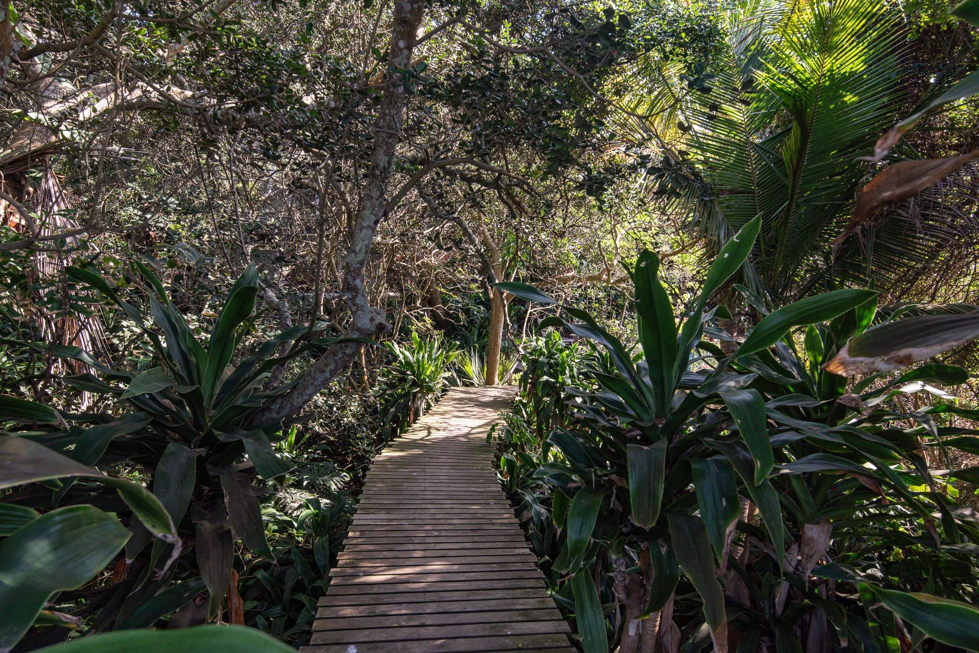 Property 2598634 - Image 6