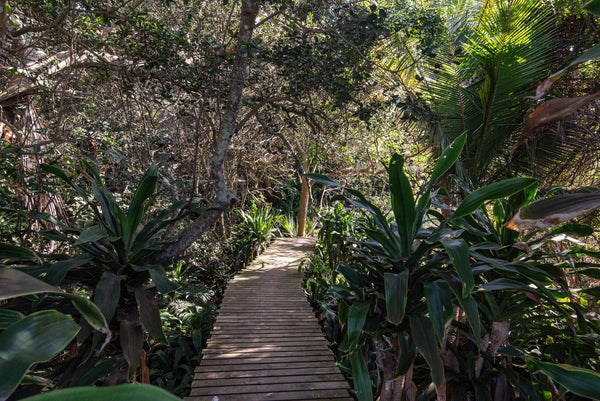 Property 2598634 - Image 6