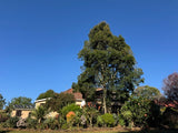 Property 2600912 - Image 11