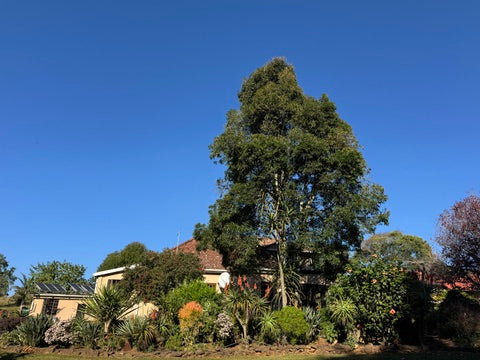 Property 2600912 - Image 11