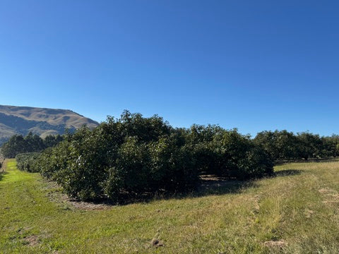 Property 2600912 - Image 12