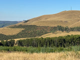 Property 2600912 - Image 16