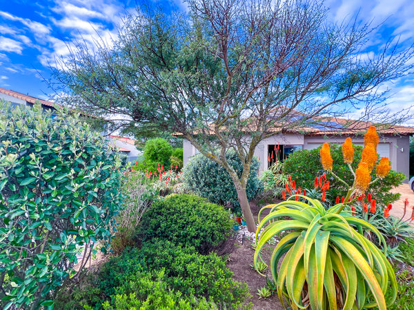 Property 2608252 - Image 4