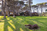 Property 2644232 - Image 11