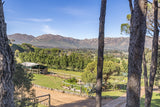 Property 2644232 - Image 29