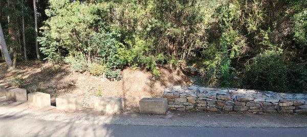 Property 2736937 - Image 1