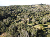Property 2736937 - Image 17
