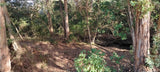 Property 2736937 - Image 3
