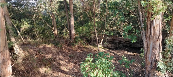 Property 2736937 - Image 3