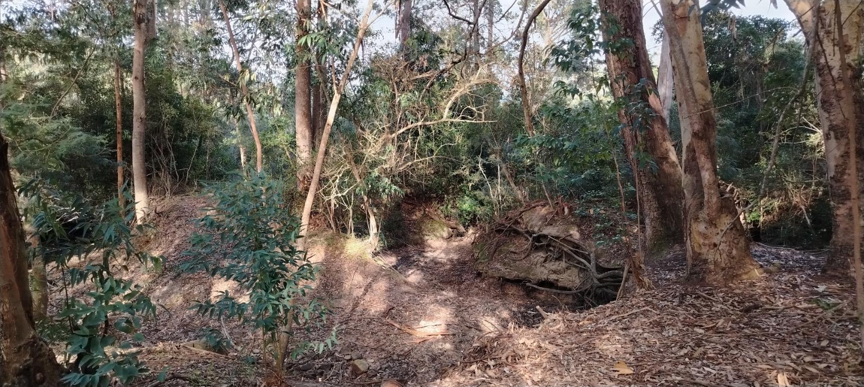 Property 2736937 - Image 5