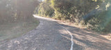 Property 2736937 - Image 6