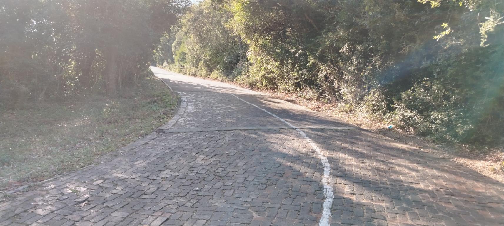 Property 2736937 - Image 6