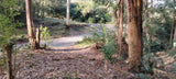 Property 2736937 - Image 8