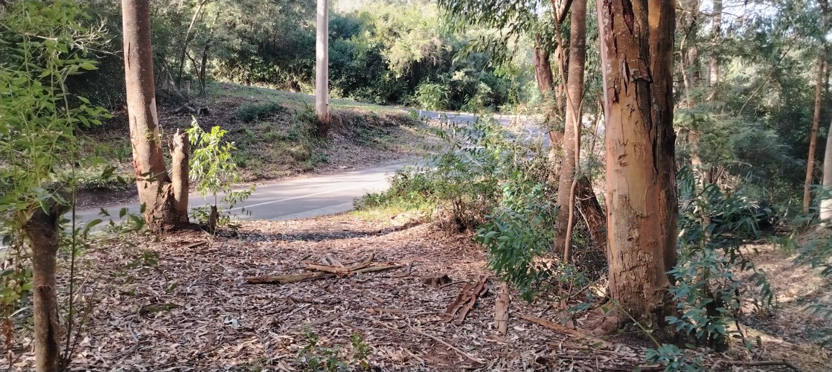 Property 2736937 - Image 8