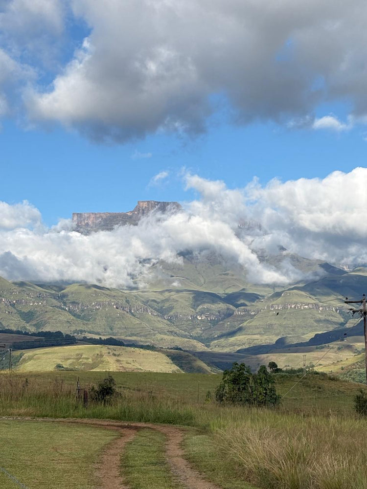 Property 2740292 - Image 1