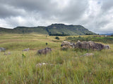 Property 2740292 - Image 3