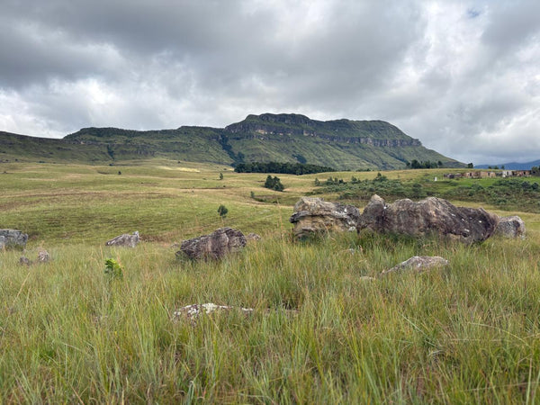 Property 2740292 - Image 3