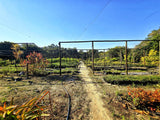 Property 2754717 - Image 23