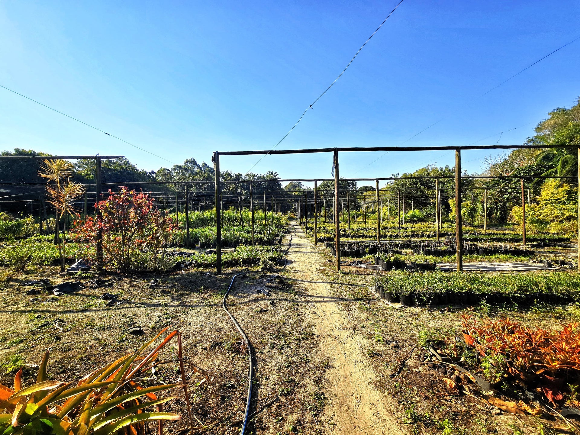 Property 2754717 - Image 23