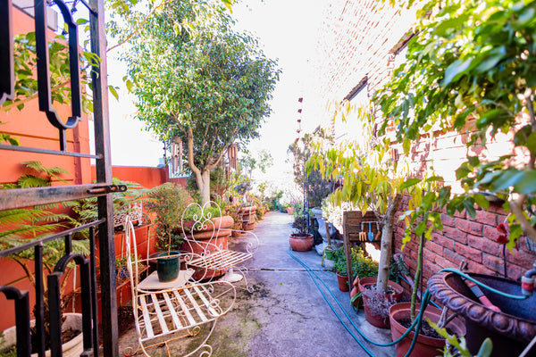 Property 2780972 - Image 39