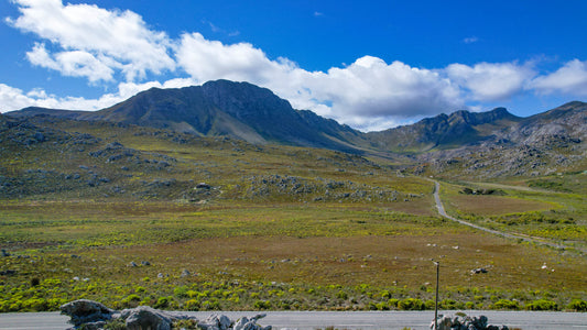 Property 2831066 - Image 1