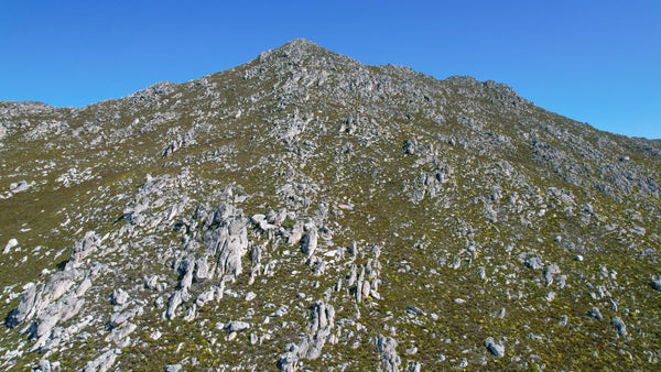 Property 2831066 - Image 6
