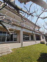 Property 2832275 - Image 4