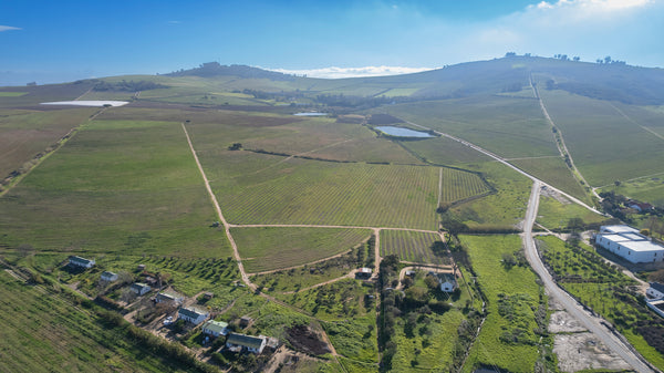 Property 2835038 - Image 16