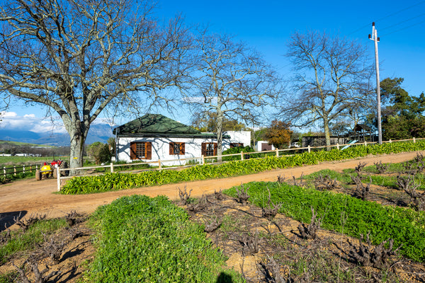 Property 2835038 - Image 4