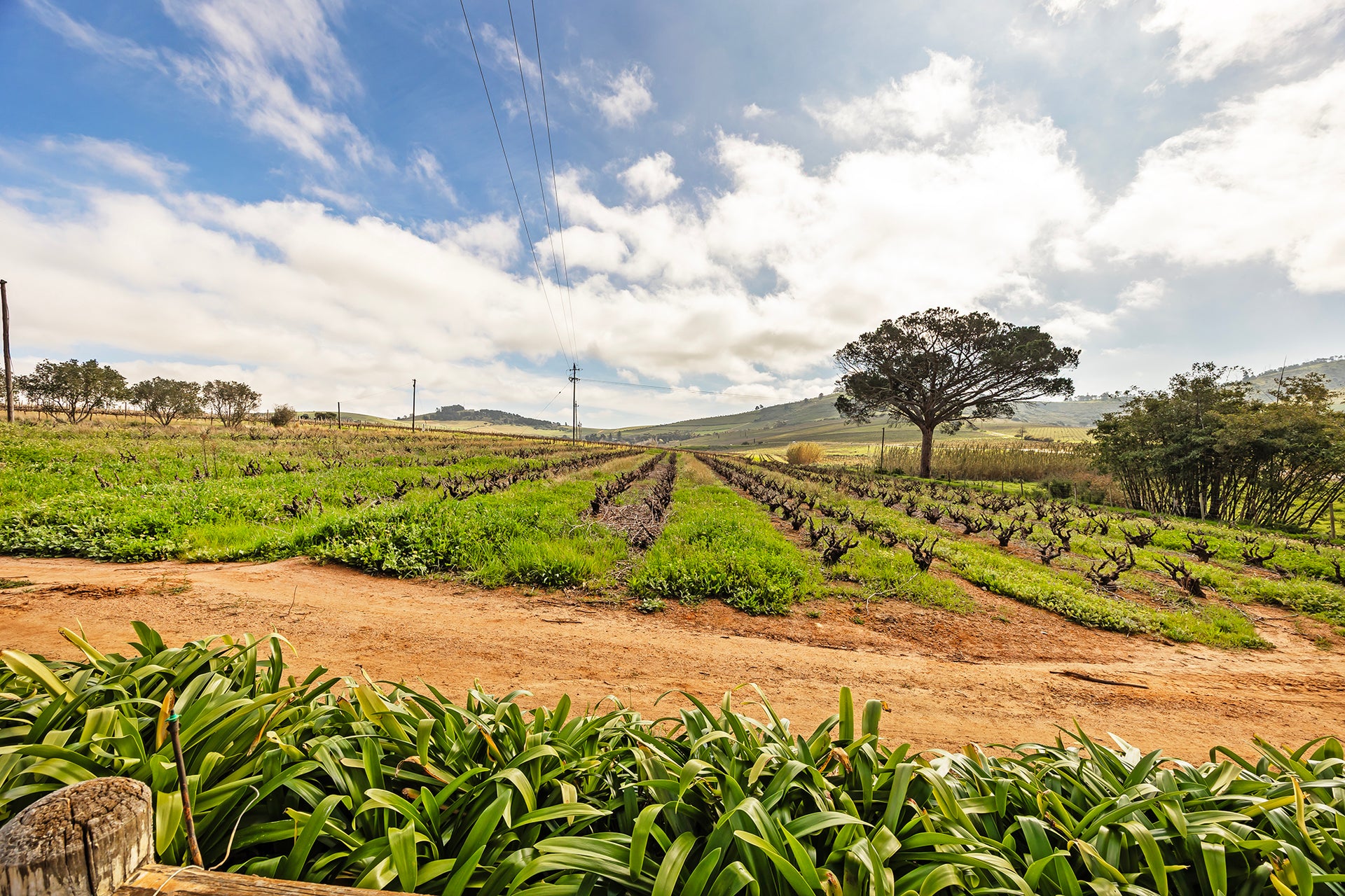 Property 2835038 - Image 41