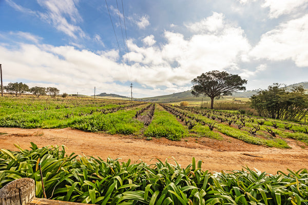 Property 2835038 - Image 41