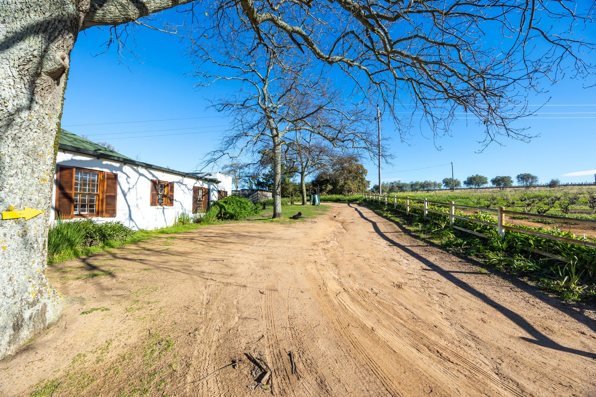 Property 2835038 - Image 9