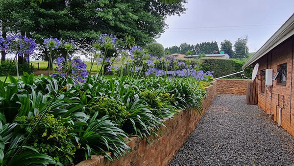 Property 283765 - Image 15