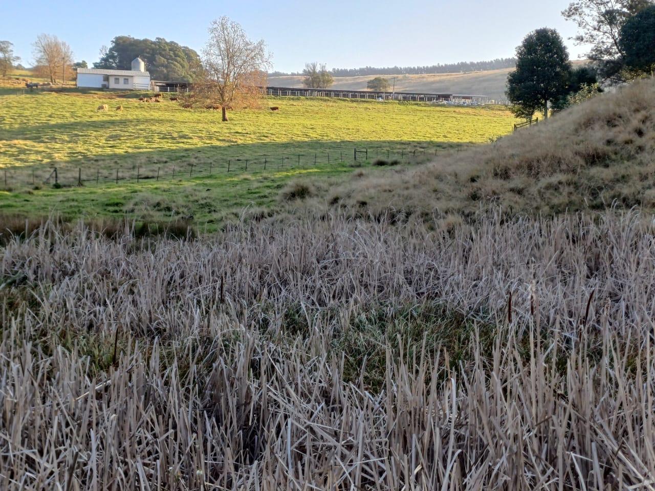 Property 283765 - Image 22