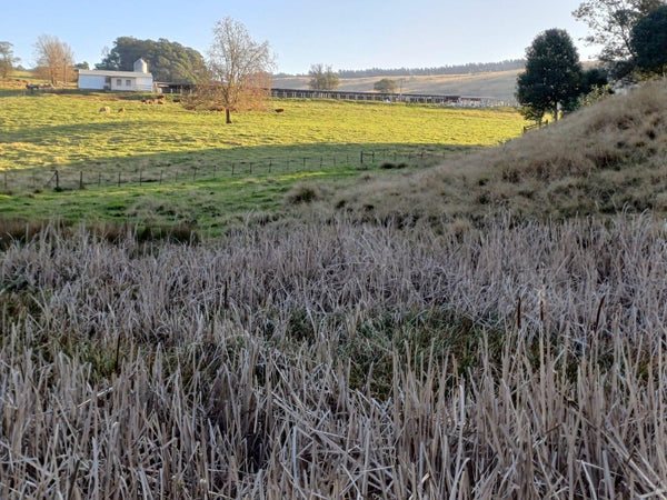 Property 283765 - Image 22