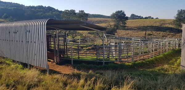 Property 283765 - Image 6