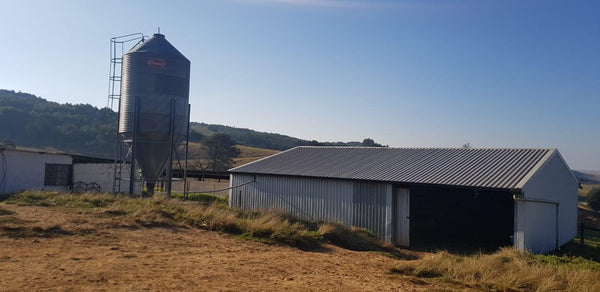 Property 283765 - Image 7