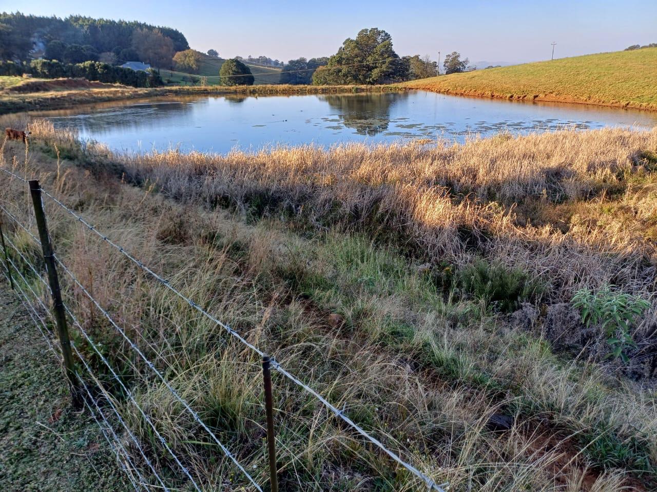 Property 283765 - Image 8